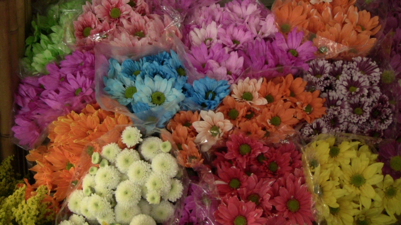 Flores no Mercado de Cali