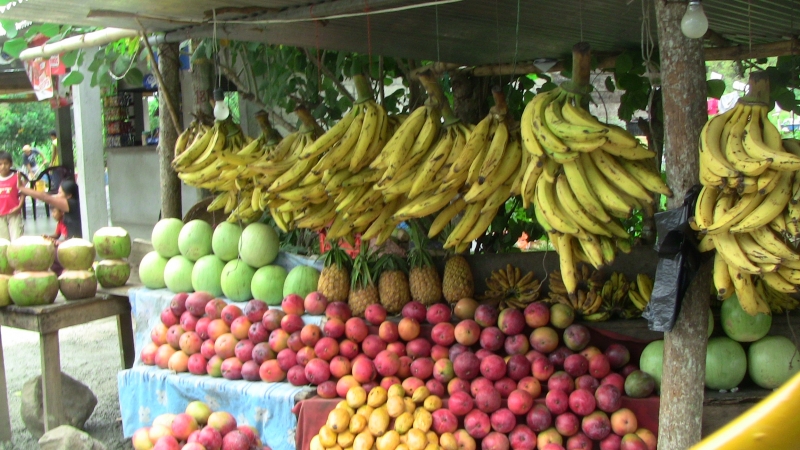 Frutas, América Central