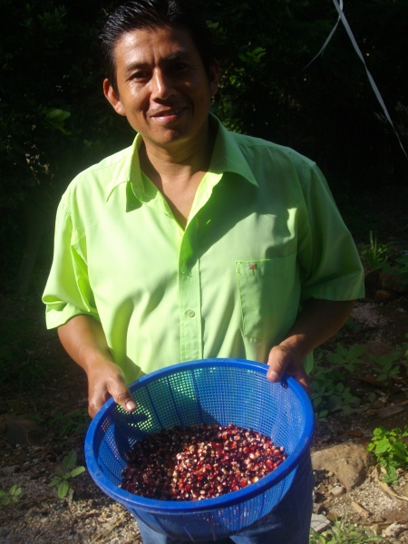Campesino, Instituto de Permacultura El Salvador