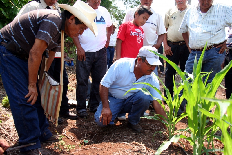 Um engenheiro agrônomo da Guatemala treina membros da comunidade