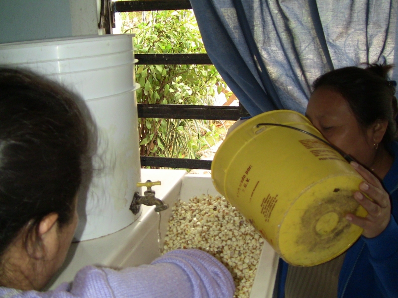 Dona Pastora moendo o milho pra fazer massa de milho organico...