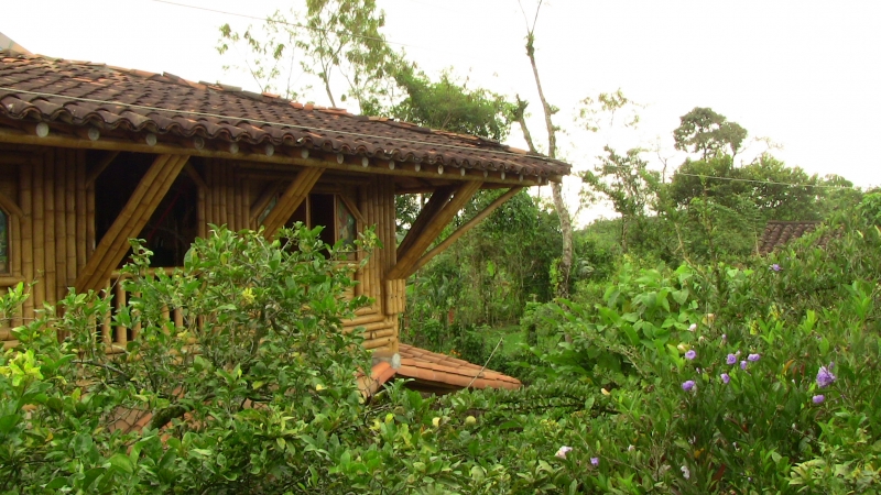 Casa de Guadua en la Pequeña Granja de Mama Lulu, Quindio, Colombia