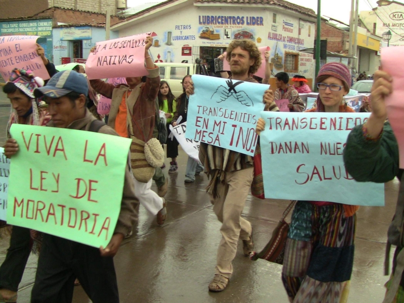Marcha contra os trangênicos no Peru, organizada por projetos do Valle Sagrado