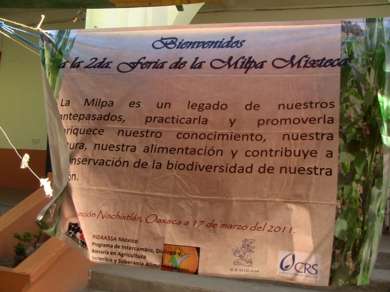 CEDICAM organiza a Feira Anual da Milpa Mixteca